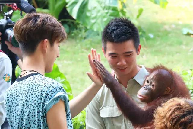 广州长隆野生动物园真实评价,广州长隆野生动物园讲解动物