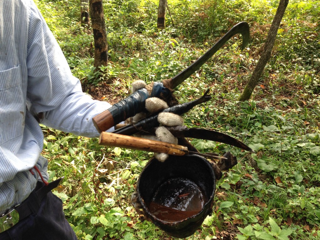 怎么预防生漆过敏,生漆加什么防止过敏