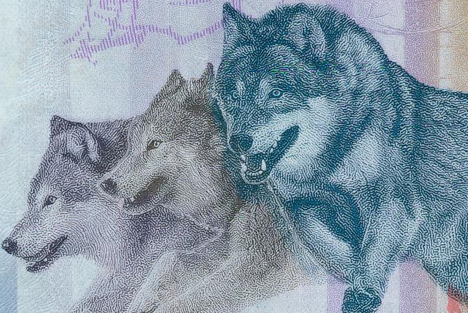 从“狼钞”引伸开来