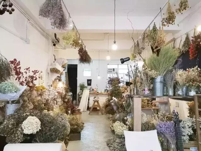 香港你不知道的地方,香港一定要打卡的深水埗