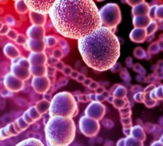 怀孕了还可以检查封闭抗体吗,怀孕了还能查弓形虫吗