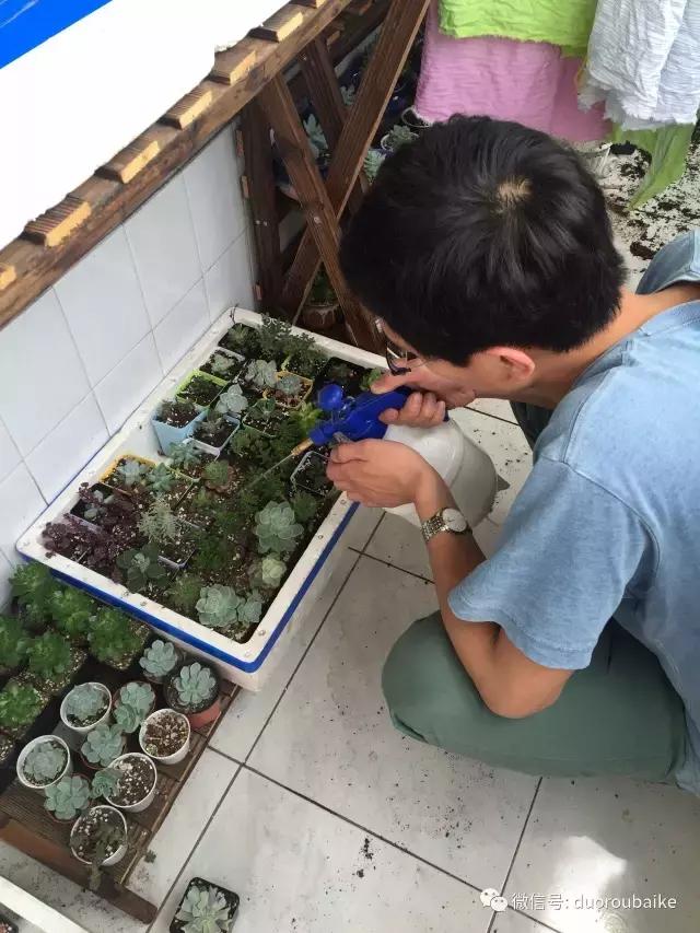 一入肉坑深似海下一句,一入肉坑深似海