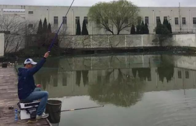 黑坑盛宴完整版,黑坑盛宴分解