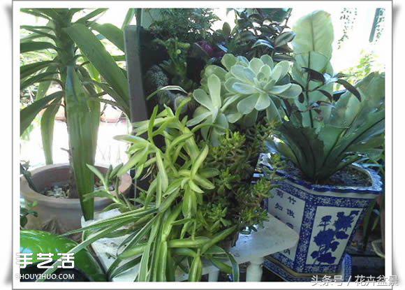 废旧物品盆景手工制作大全,创意手工盆景diy制作