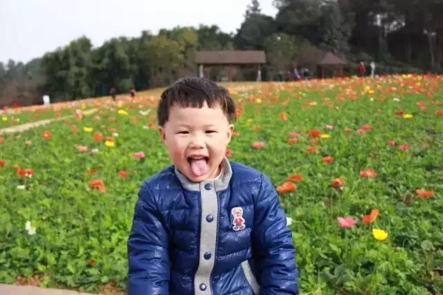 石象湖周边亲子游,周末带娃的好去处松山湖一日游