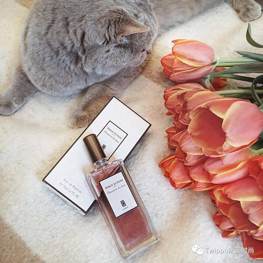 小*香众**水图鉴｜别怪我挑剔，只是这事儿太私密