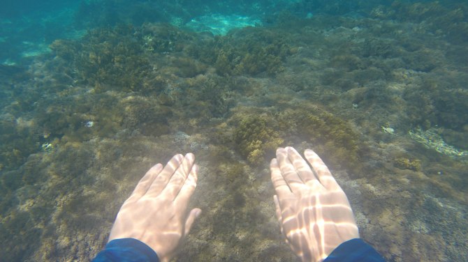 巴厘岛2天自由行,巴厘岛十一天自由行