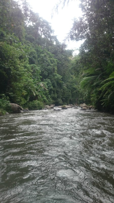 巴厘岛2天自由行,巴厘岛十一天自由行