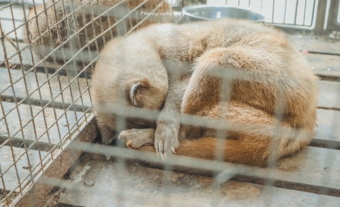 巴厘岛自由行5日游,巴厘岛天堂之旅