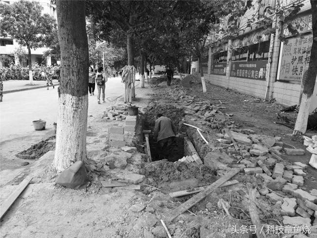 荣耀v9对比荣耀9拍照效果,荣耀v9拍人像效果