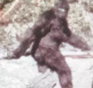 适合小朋友看的好莱坞动画,必看的好莱坞动画电影