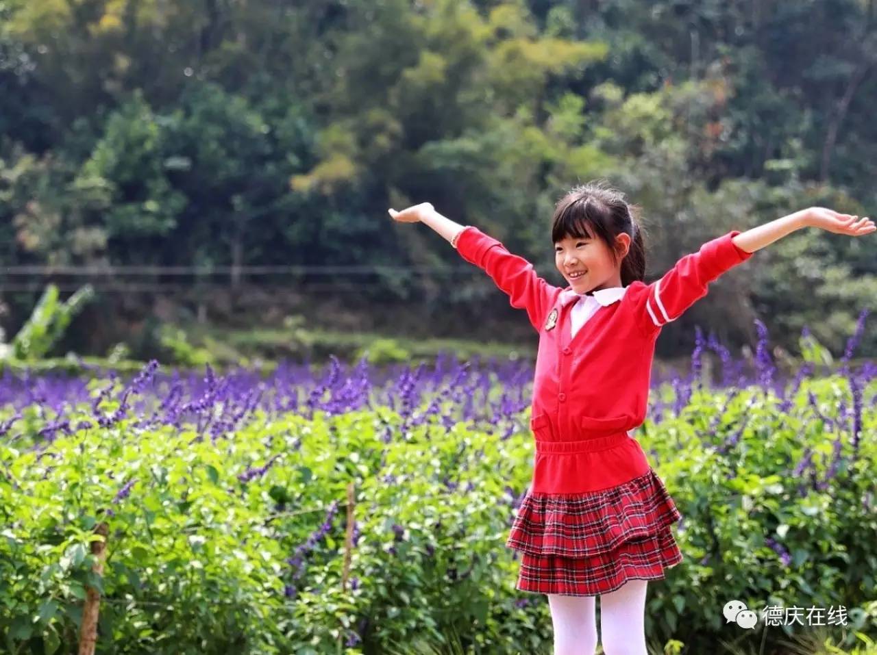 不用去罗平也可以看油菜花,不用去日本也能看的樱花海