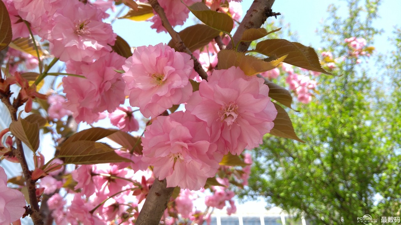 5100mah大电池,5100毫安大续航和120瓦快充