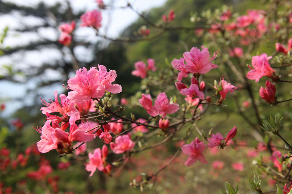 山东领秀户外：千里挺进大别山，众雄傲视天堂寨