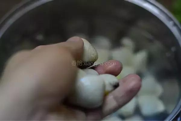 有味道的蛤蜊,蛤蜊很好吃的样子