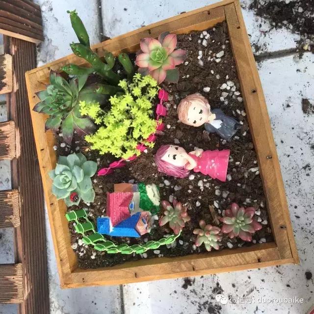 一入肉坑深似海下一句,一入肉坑深似海