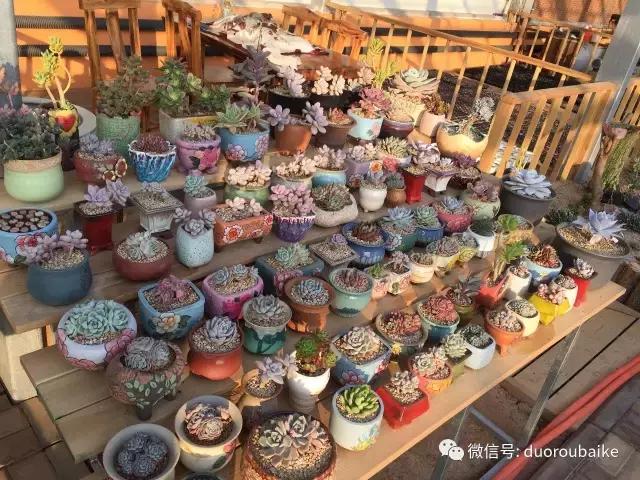 一入肉坑深似海下一句,一入肉坑深似海