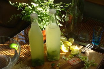 柠檬酒做法自酿全过程,香水柠檬酒的自酿方法