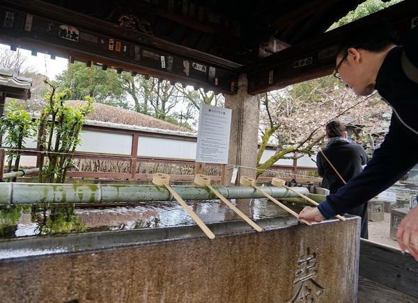 第一次出国旅游去哪个国家最合适,出国旅游过海关注意什么