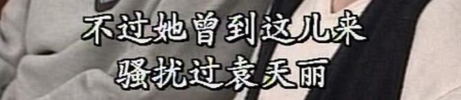 刑事侦缉档案袁天丽马成昌第五集,刑事侦缉档案袁天丽