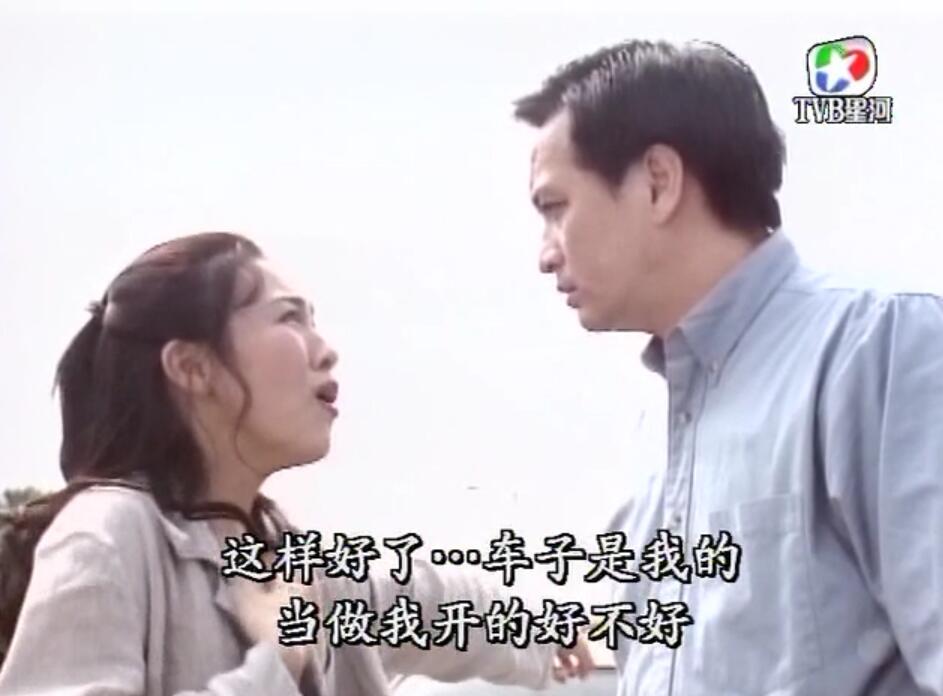 刑事侦缉档案袁天丽马成昌第五集,刑事侦缉档案袁天丽