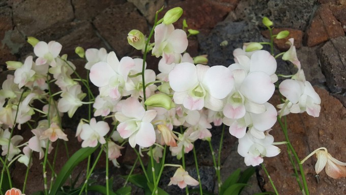 三亚自助游攻略游记,三亚旅游吃货攻略自由行