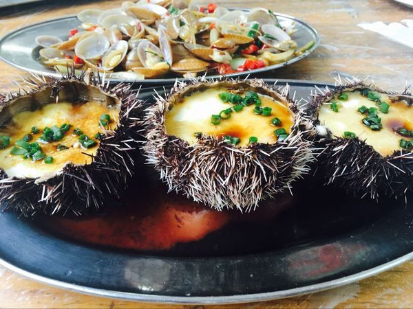 三亚自助游攻略游记,三亚旅游吃货攻略自由行