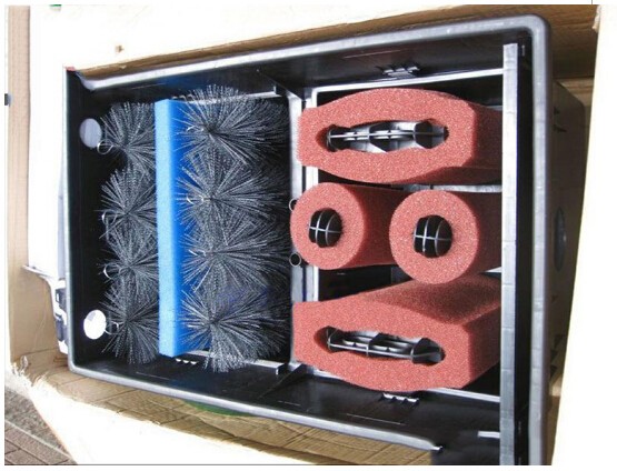 水中游动的活宝石,水中活宝石锦鲤视频