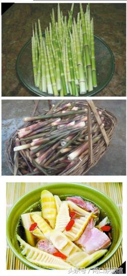 大别山深处的绝美山珍！