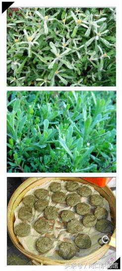 大别山深处的绝美山珍！