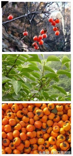 大别山深处的绝美山珍！