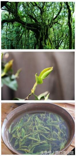 大别山深处的绝美山珍！