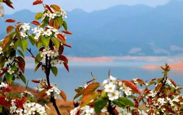 太壮观!清远这个群山萦绕的天湖惊现百米大瀑布,你竟然不知道?
