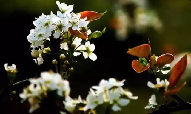 太壮观!清远这个群山萦绕的天湖惊现百米大瀑布,你竟然不知道?