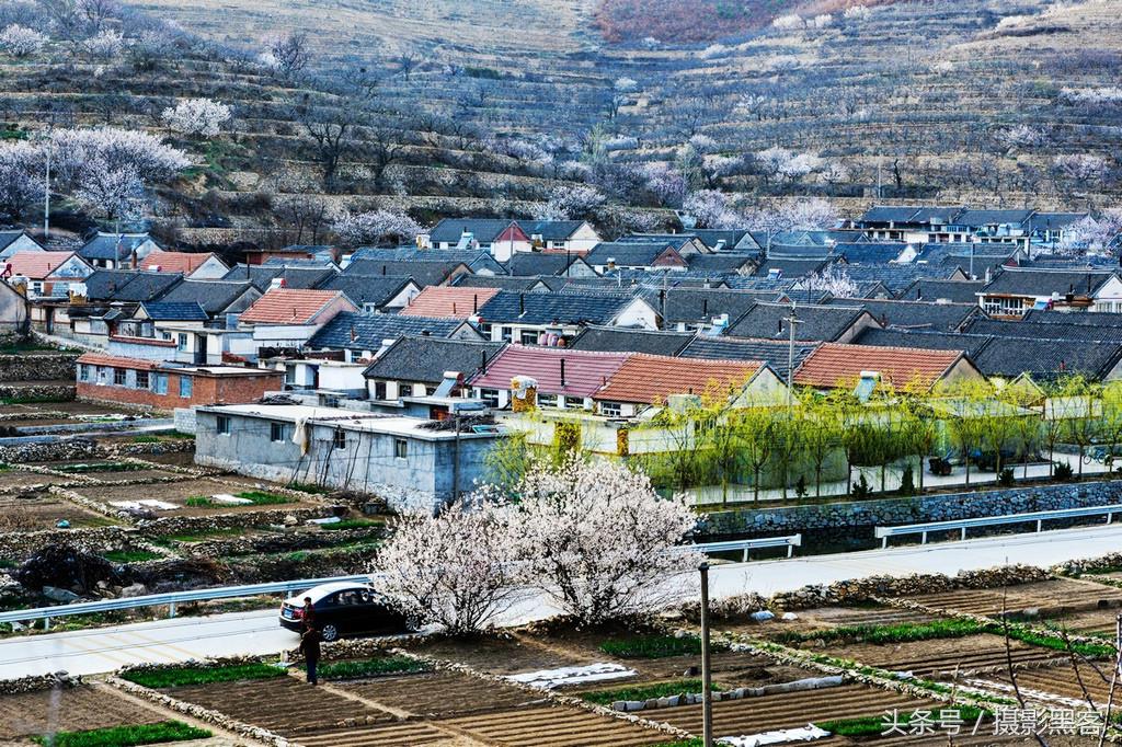 濞佹捣涔冲北妯辨,灞变笢涔冲北妯辨