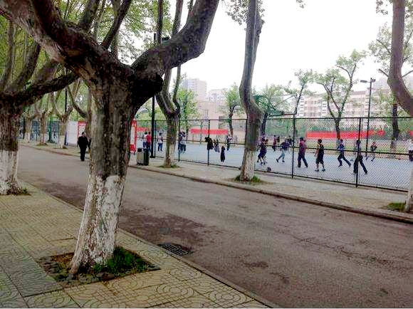 南航上铺的你(6)壮族妹子光脚丫煤渣路狂奔3000米勇夺冠军