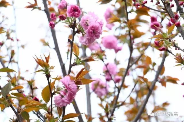 别再跟我抱怨金堂！2017，庆幸自己没离开！