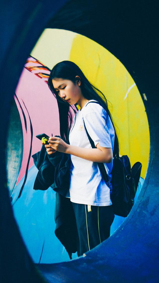 大美泰达满地灿烂！花期易逝，千金不换，还不快来！