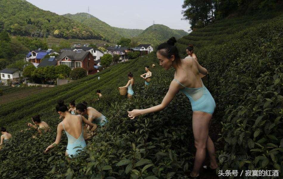 山东省简称鲁的由来,山东简称为什么是鲁国