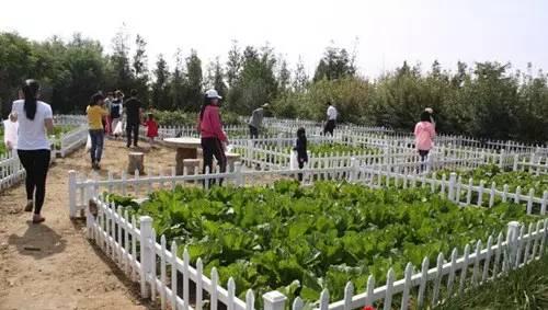 1-5万创业新点子-敢去想就要敢去做