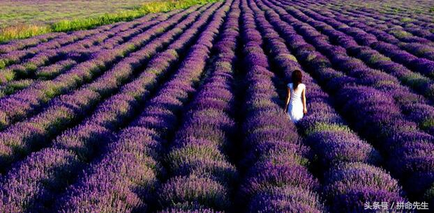 睡衣免费送商品模式,睡衣免费送营销方案