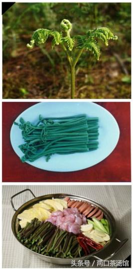 大别山深处的绝美山珍！