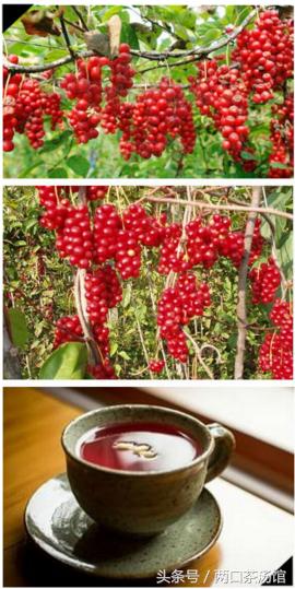 大别山深处的绝美山珍！