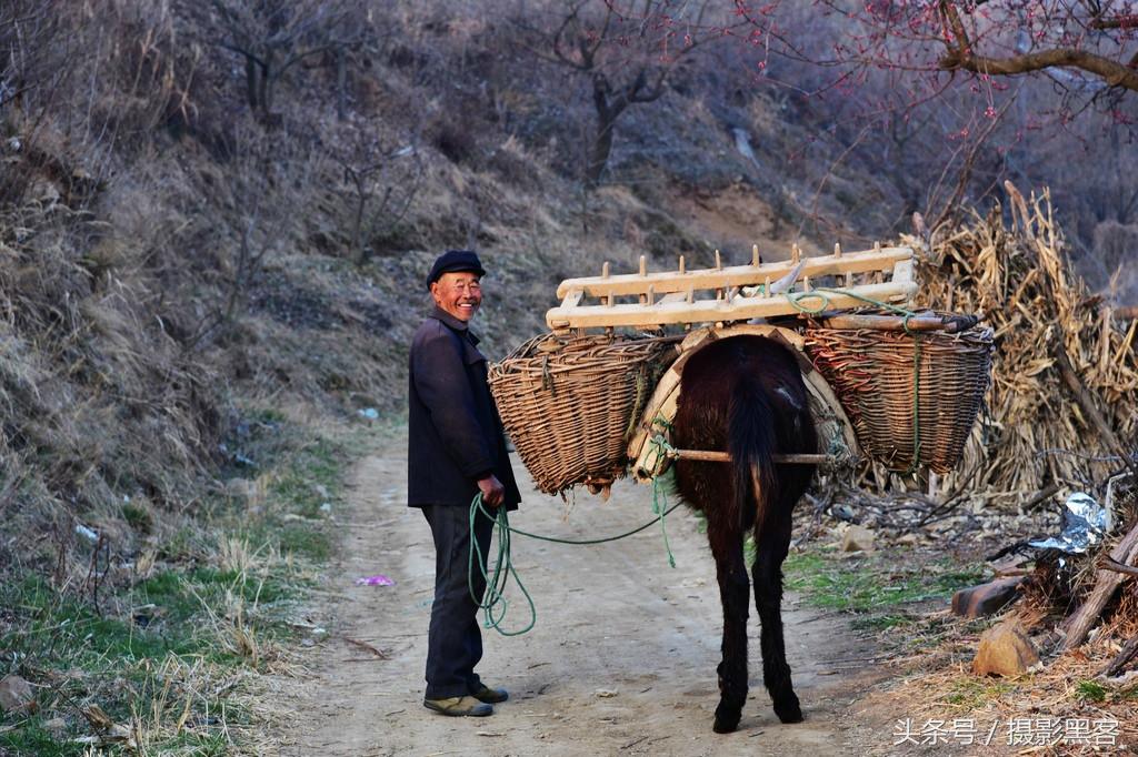 濞佹捣涔冲北妯辨,灞变笢涔冲北妯辨