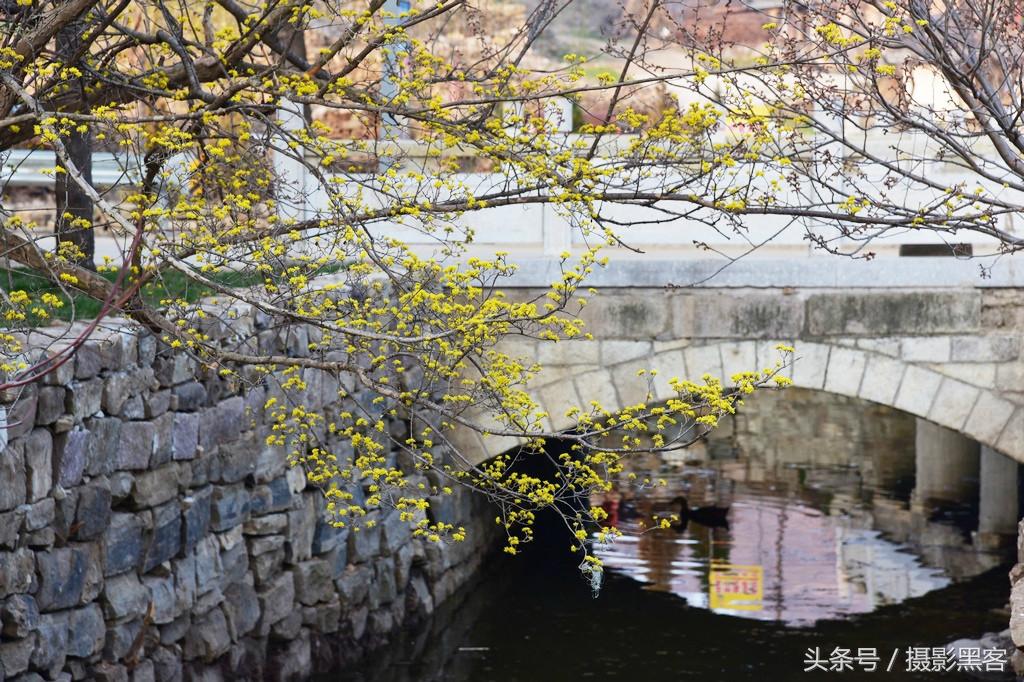 濞佹捣涔冲北妯辨,灞变笢涔冲北妯辨