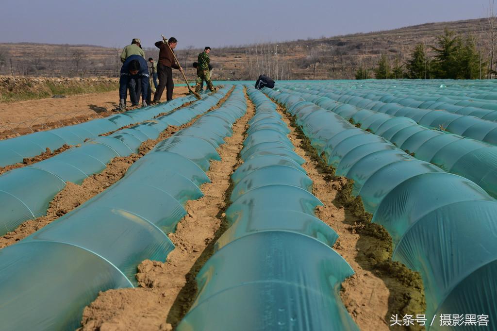 濞佹捣涔冲北妯辨,灞变笢涔冲北妯辨