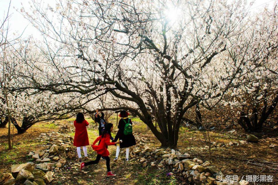 濞佹捣涔冲北妯辨,灞变笢涔冲北妯辨