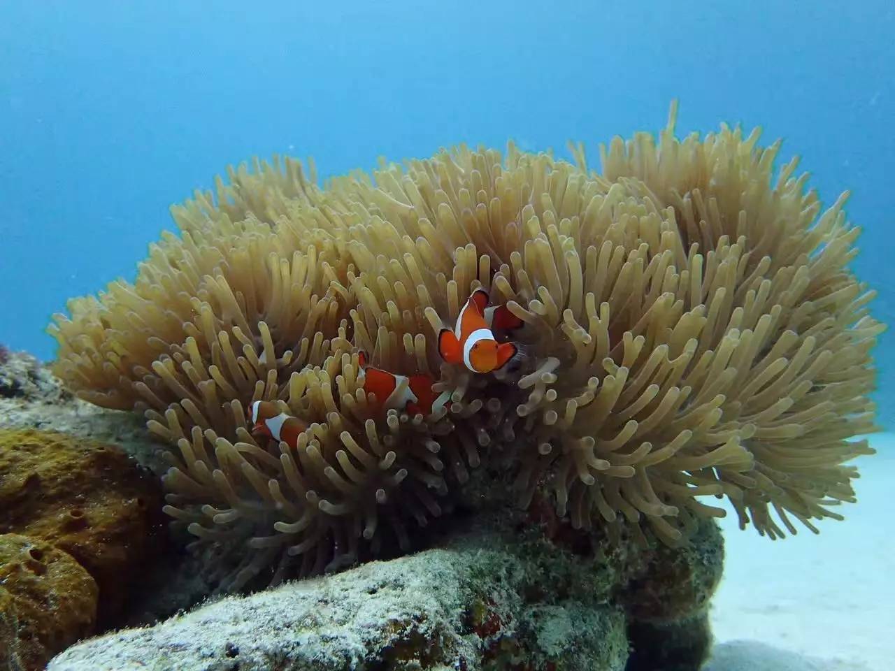 weekendescape,weekendescape什么意思