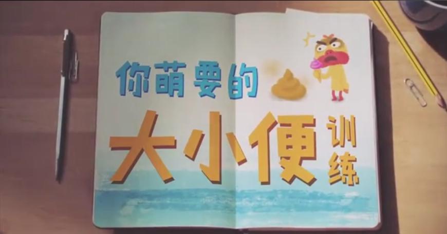 狗狗随地大小便时如何正确的惩罚,铲屎官怎样教狗狗定点上厕所