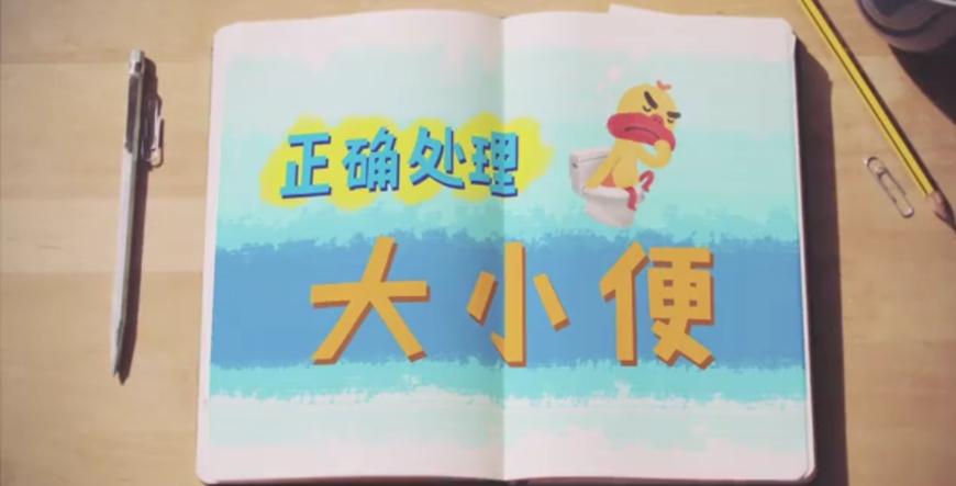 狗狗随地大小便时如何正确的惩罚,铲屎官怎样教狗狗定点上厕所